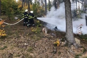 Foto: FF Groß Gerungs&nbsp; 