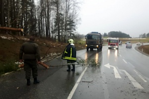 Quelle: Etze-live.at&nbsp; Quelle: Etze-live.at